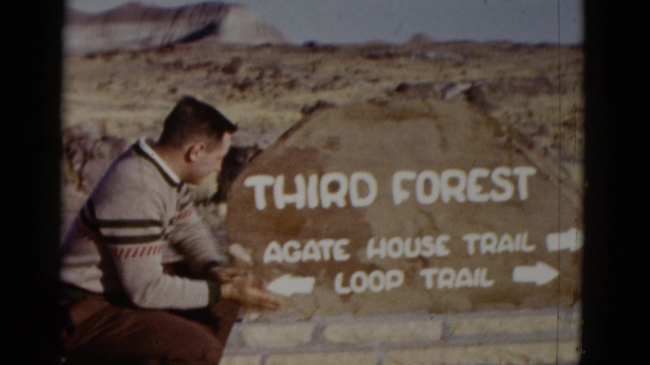 Man crouching beside a painted Third Forest trail sign in a dry desert landscape.
