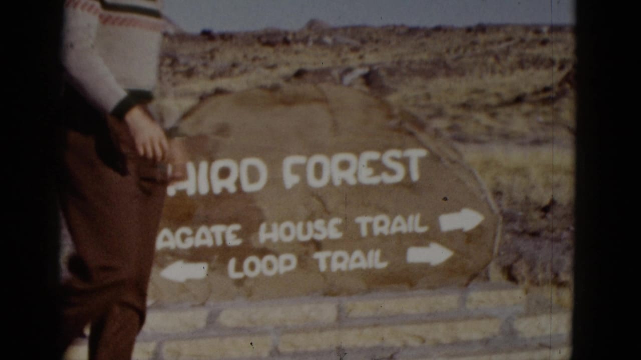 Standing man partly visible next to the Third Forest trail sign and directional arrows.
