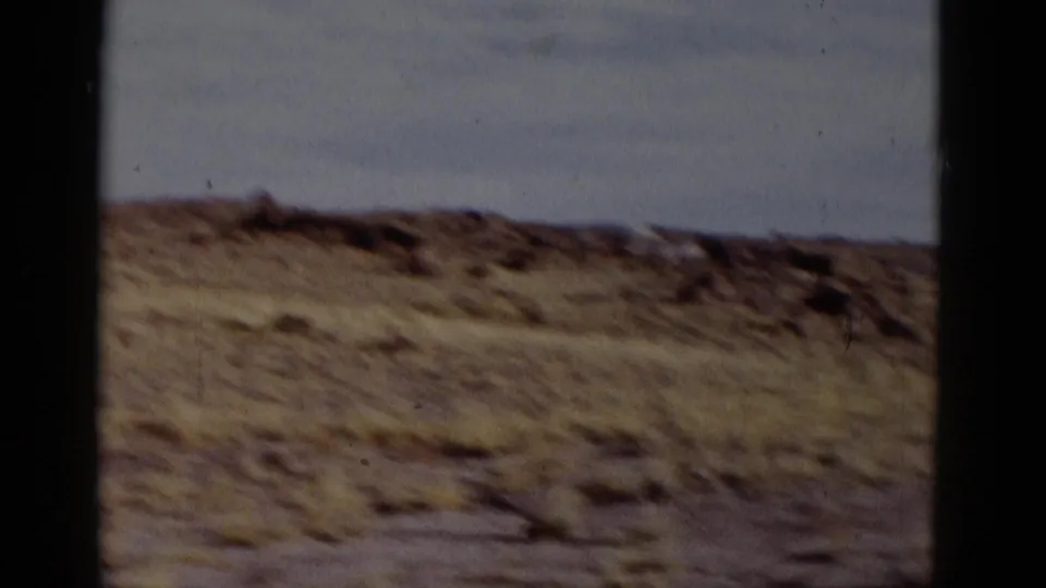 The final frame shows a soft, handheld 8mm view of rocky Arizona desert terrain with low hills and open sky.