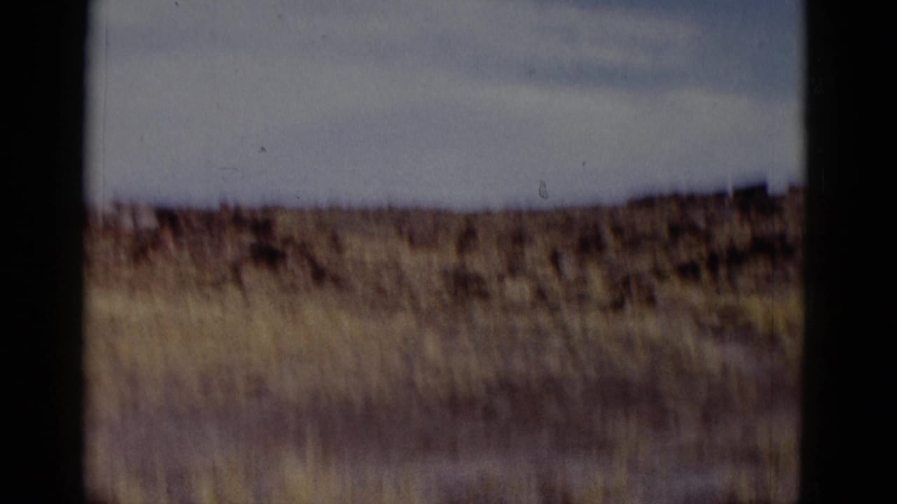 Soft-focused desert horizon with dry scrub under a pale sky.