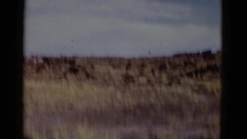 1952 Arizona home-movie frame showing an arid scrubland horizon under a pale sky, with soft focus and dark frame edges.