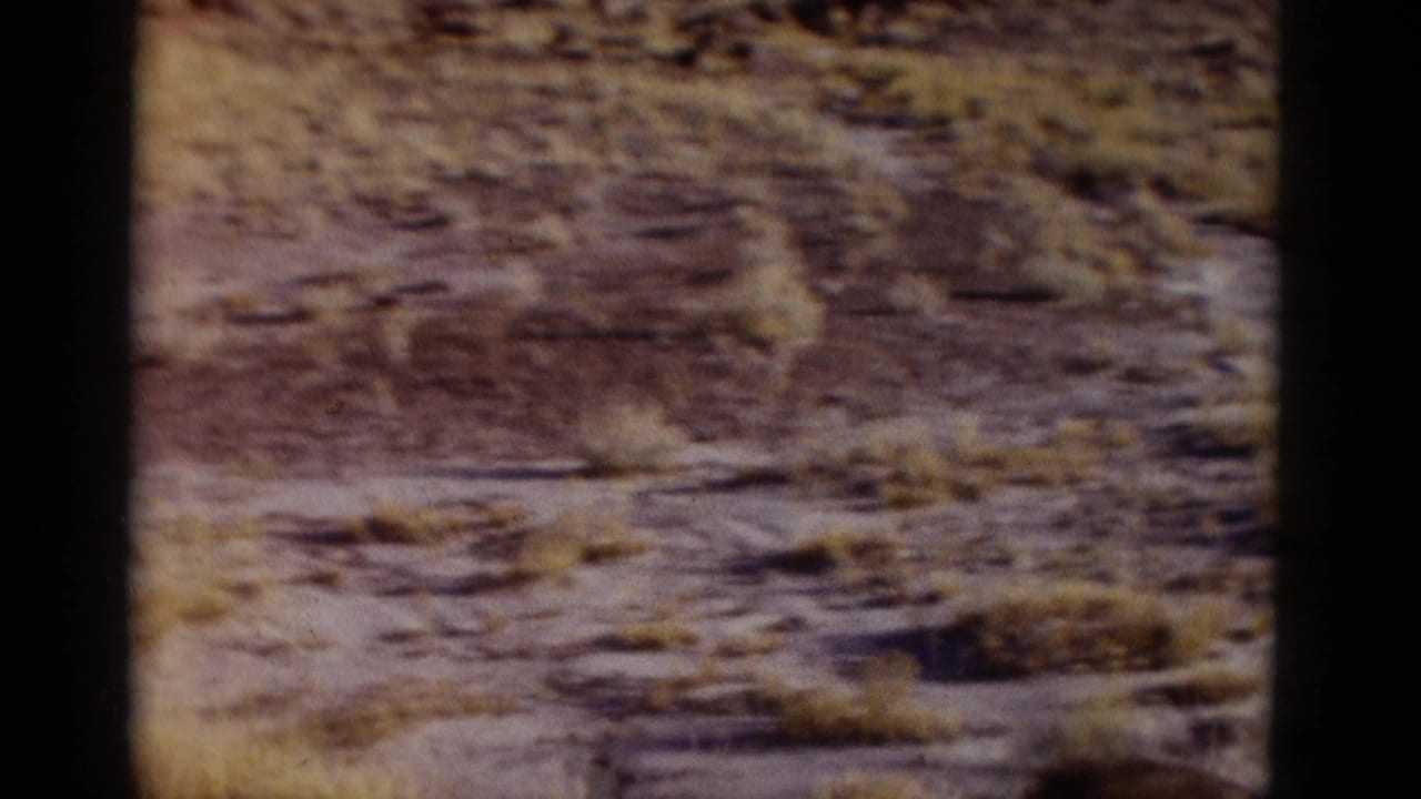 Close view of sandy desert ground with scattered dry brush.