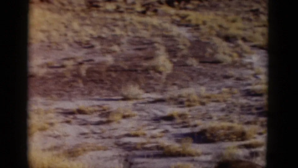 Close 8mm view of sandy Arizona desert ground with scattered scrub, reddish soil tones, and visible film softness.