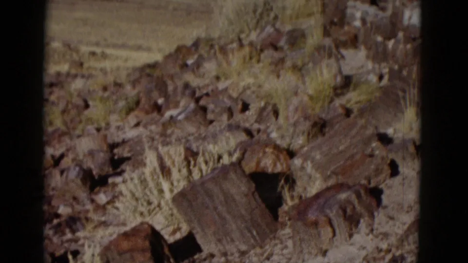 Close panning view of dark desert rocks, dry grasses, and weathered stone pieces in the Arizona landscape.
