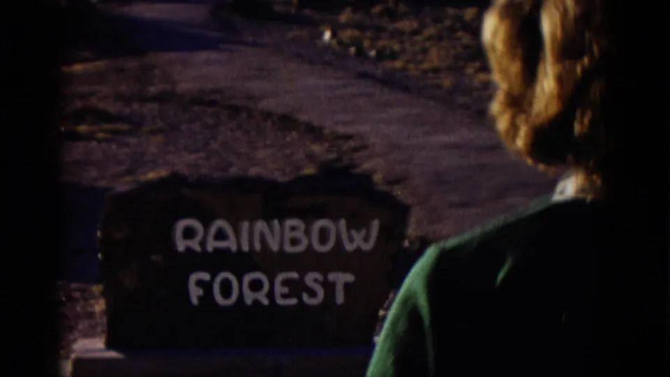 1952 Arizona home-movie frame with a woman viewed from behind near a roadside marker reading Rainbow Forest.