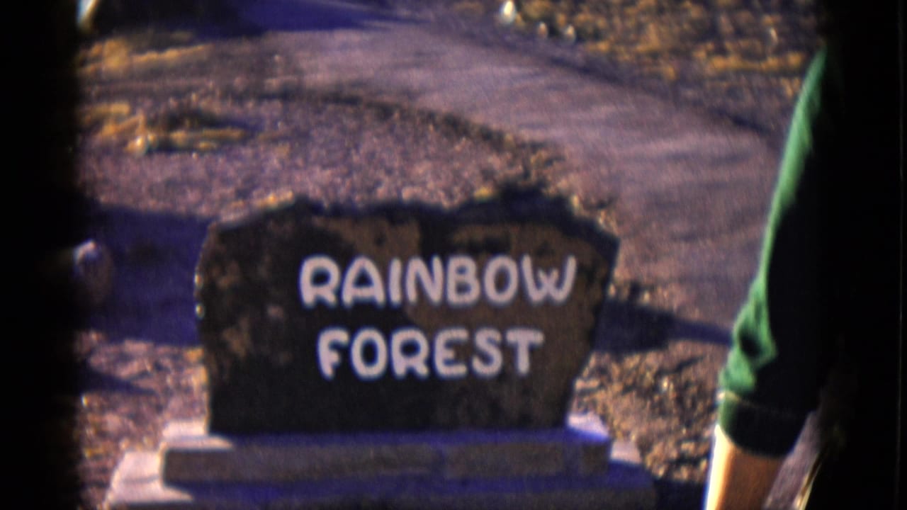 Rustic stone sign reading Rainbow Forest beside a sunlit path.
