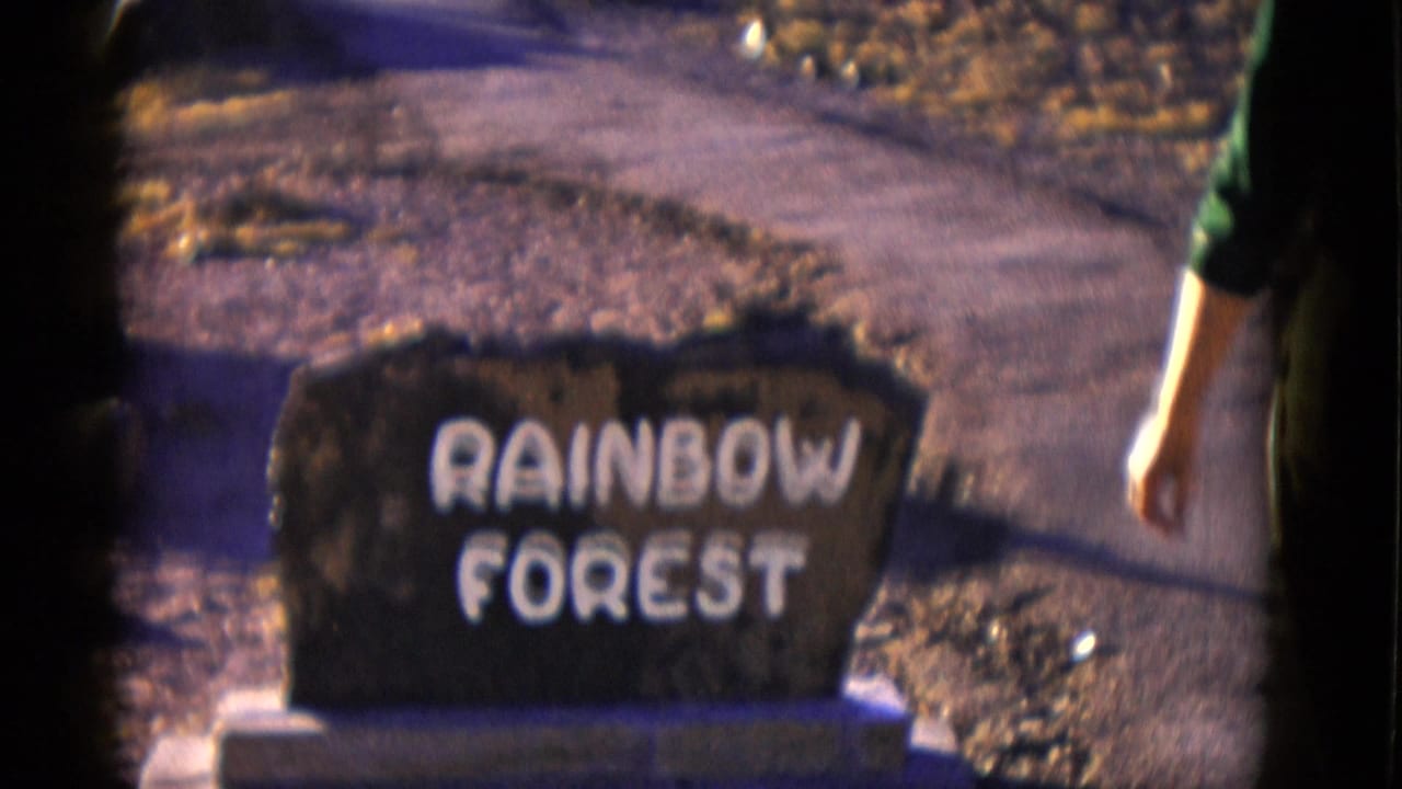 Rainbow Forest sign with a person partly visible at the right edge.