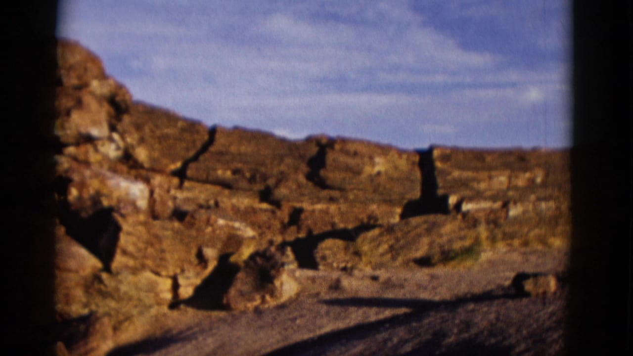 Line of weathered stones across open desert ground with blue sky above.
