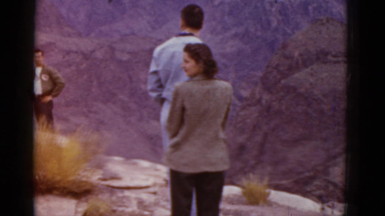 Adults stand on a rocky overlook facing a canyon, with desert shrubs in the foreground.