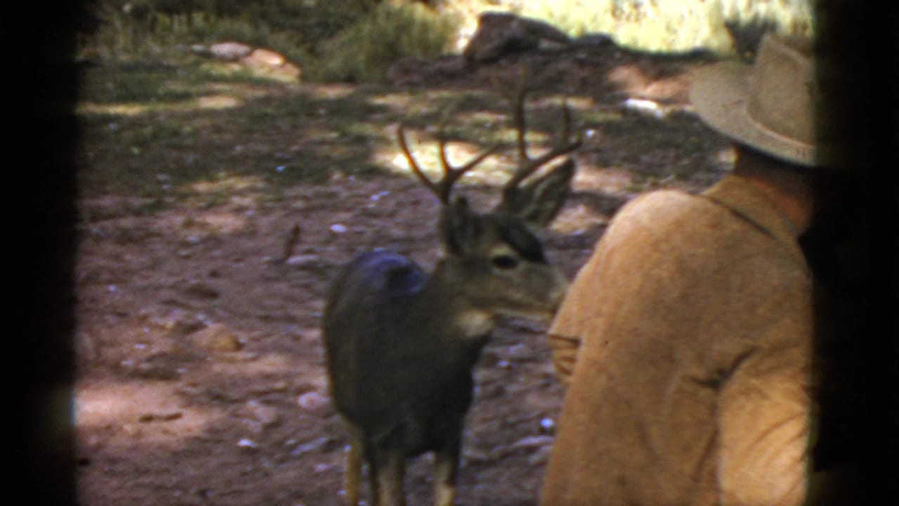 In 1952 Arizona home-movie footage, a man in a cowboy hat stands beside a deer with antlers in a shaded outdoor clearing.