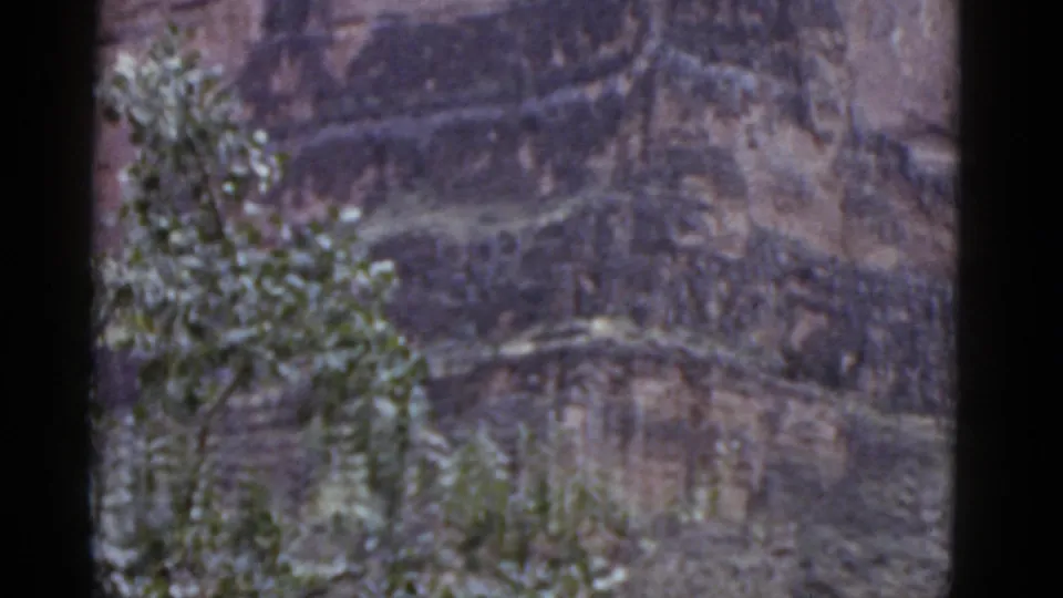 1952 Arizona frame showing a rocky hillside and foreground branches, with heavy dark frame borders from the 8mm scan.
