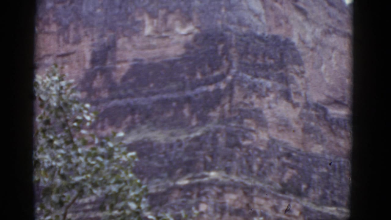 Layered cliff face with a leafy tree at the lower left and dark 8mm frame edges.