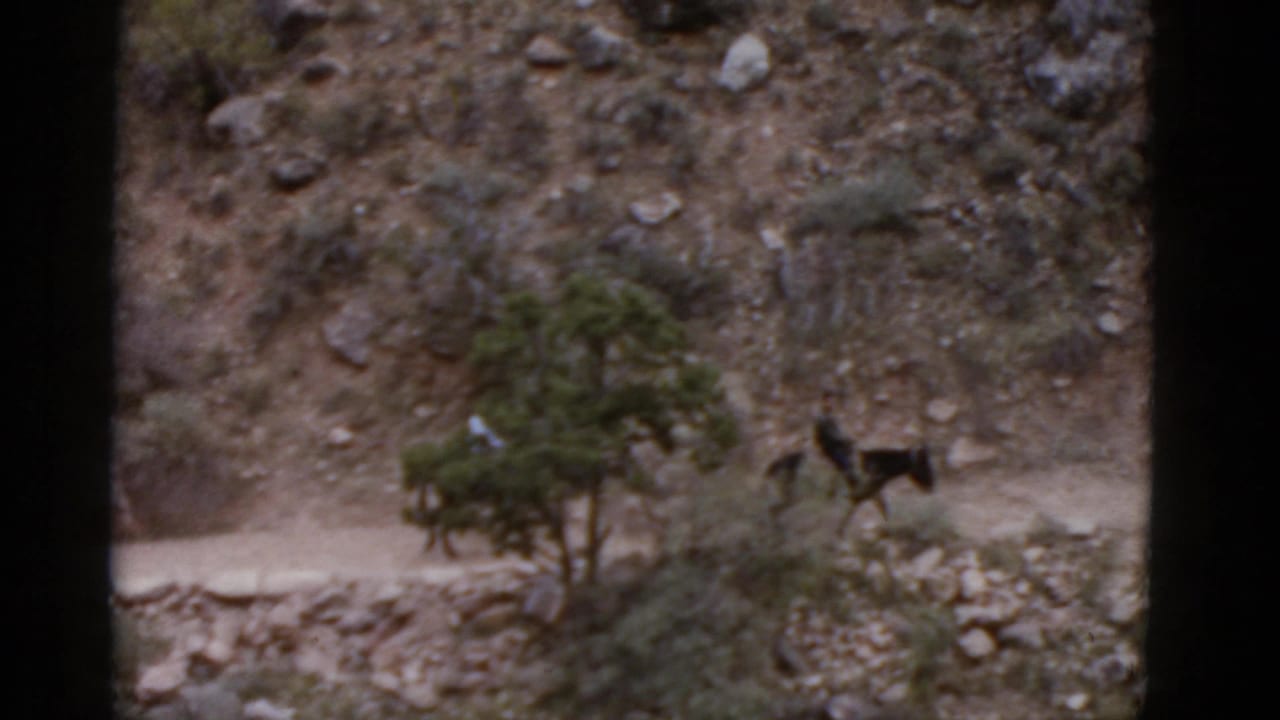 Distant rider on horseback moves along a dirt trail on a rocky Arizona hillside in grainy 1952 8mm footage.