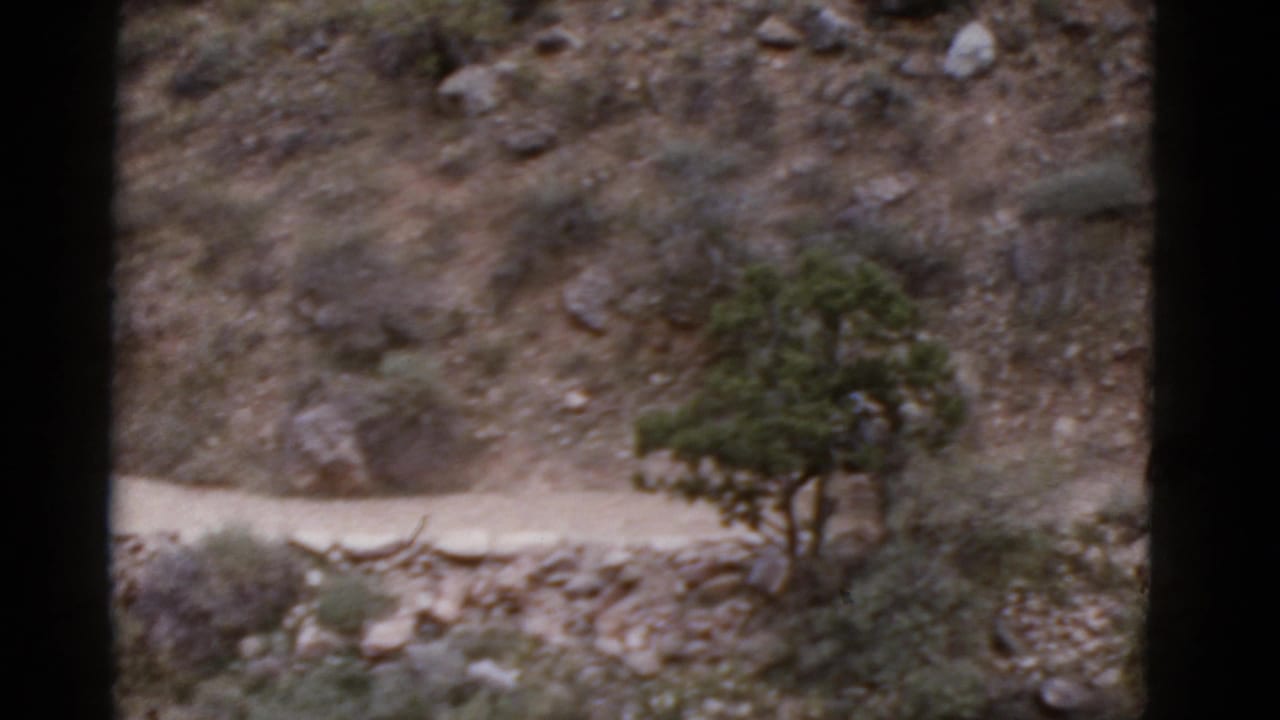 A curving dirt path and sparse vegetation run below a rocky Arizona slope in soft 1952 8mm home-movie footage.