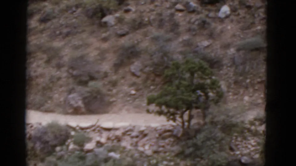 A curving dirt path and sparse vegetation run below a rocky Arizona slope in soft 1952 8mm home-movie footage.