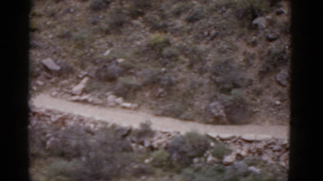1952 Arizona home-movie frame looking down from a rider’s viewpoint at a winding dirt trail across rocky desert terrain.