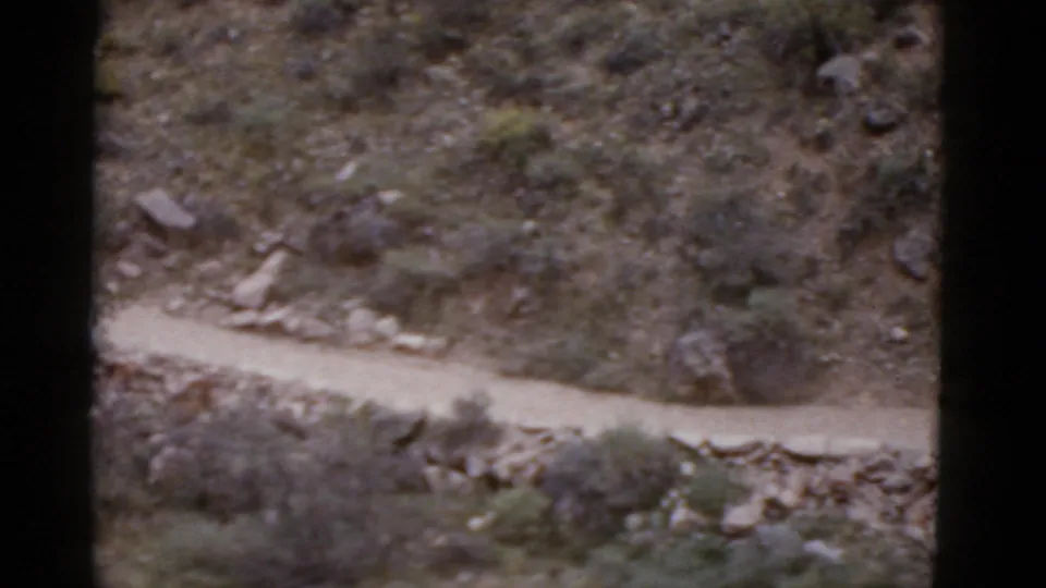 1952 Arizona home-movie frame looking down from a rider’s viewpoint at a winding dirt trail across rocky desert terrain.