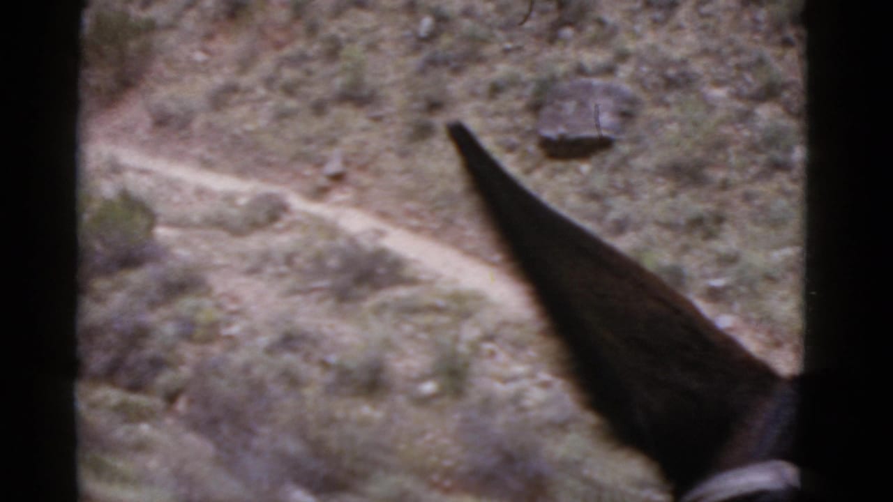 Rocky hillside with a winding dirt path and a dark pointed foreground shape.