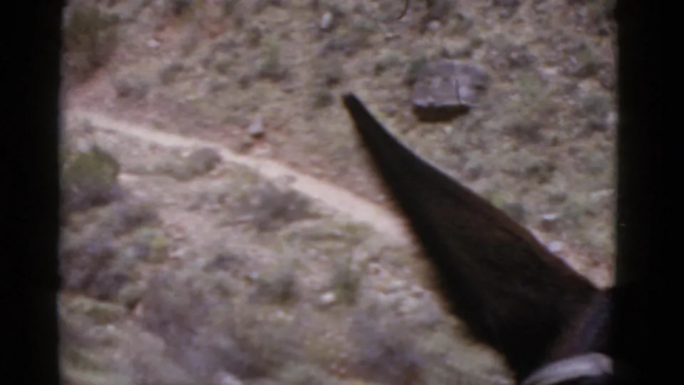 1952 Arizona home-movie frame looking down at a rocky desert slope, winding path, sparse shrubs, and a dark pointed object in the foreground.