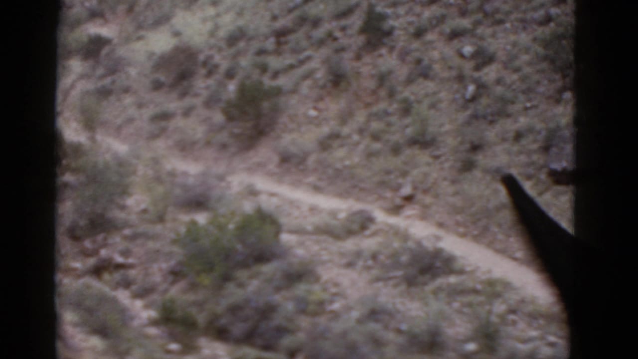 Desert slope with a pale winding path, shrubs, rocks, and a dark edge shape.