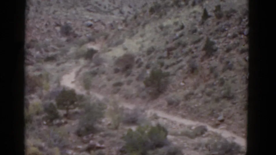 Arizona home-movie frame from 1952 showing a curved dirt path below an overlook, with rocky ground and scattered desert brush.