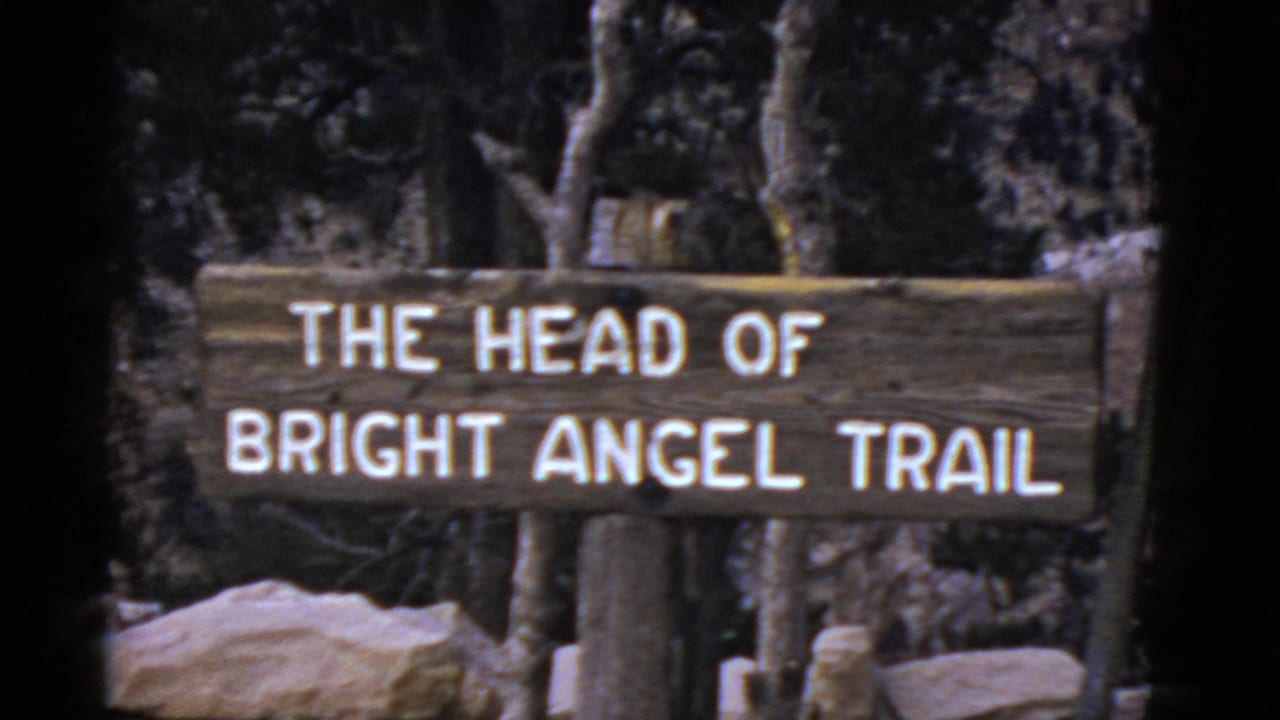 Wooden sign reading The Head of Bright Angel Trail among trees and rocks.