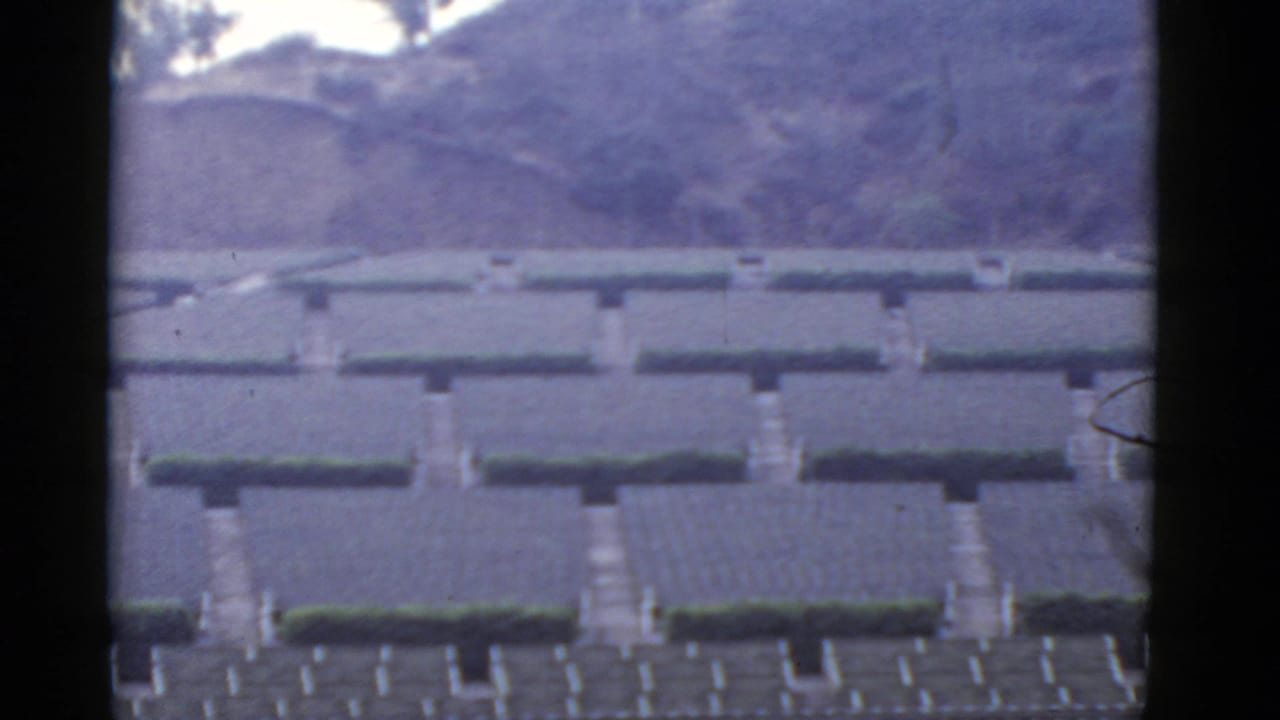 Elevated view of rows of hedges, pale stone features, paths, steps, and hillside beyond.
