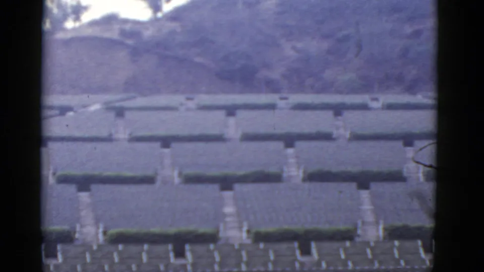 1952 California 8mm frame showing ordered hedges, pale stone features, paths, steps, and a hazy hillside in daylight.