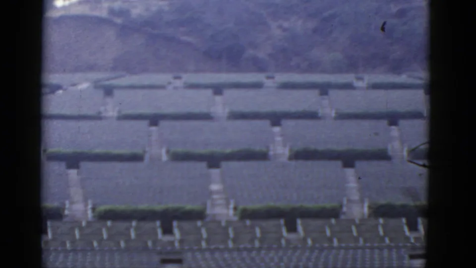 1952 California home-movie frame with repeated hedge rows, pale stone features, walkways, steps, and soft hillside background.