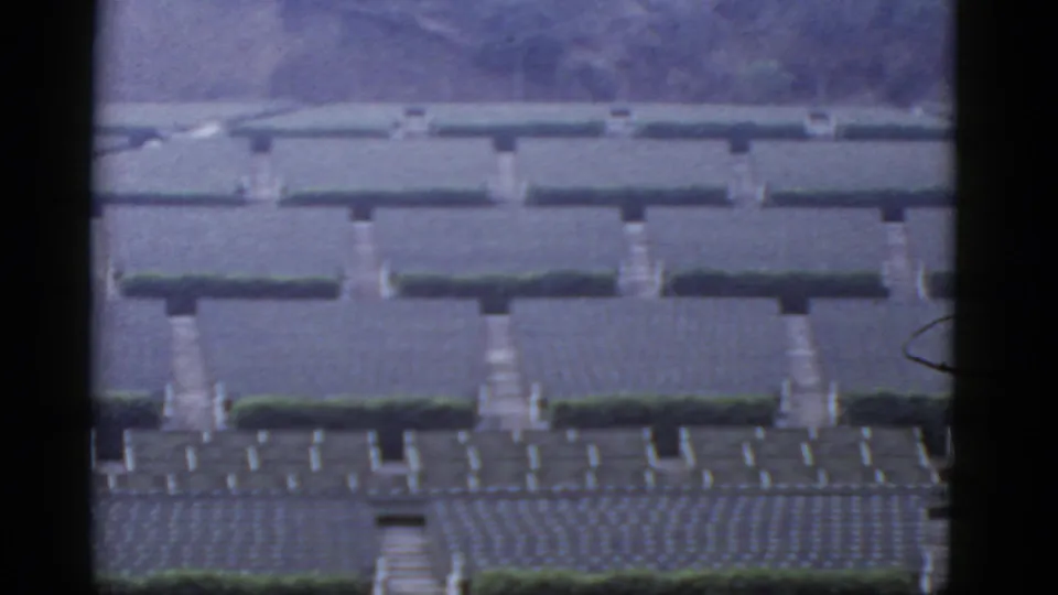 1952 California 8mm view of clipped hedges, pale stone rows, path divisions, steps, and visible dark film gate borders.