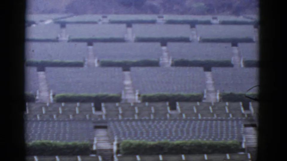 1952 California home-movie frame showing rows of hedges and pale stone features, divided by paths and steps, with hillside beyond.