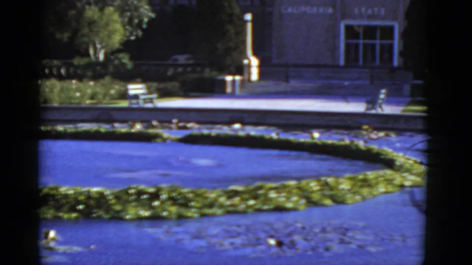 1952 8mm view across a landscaped pond toward a California state building entrance, benches, hedge, and surrounding shrubs.
