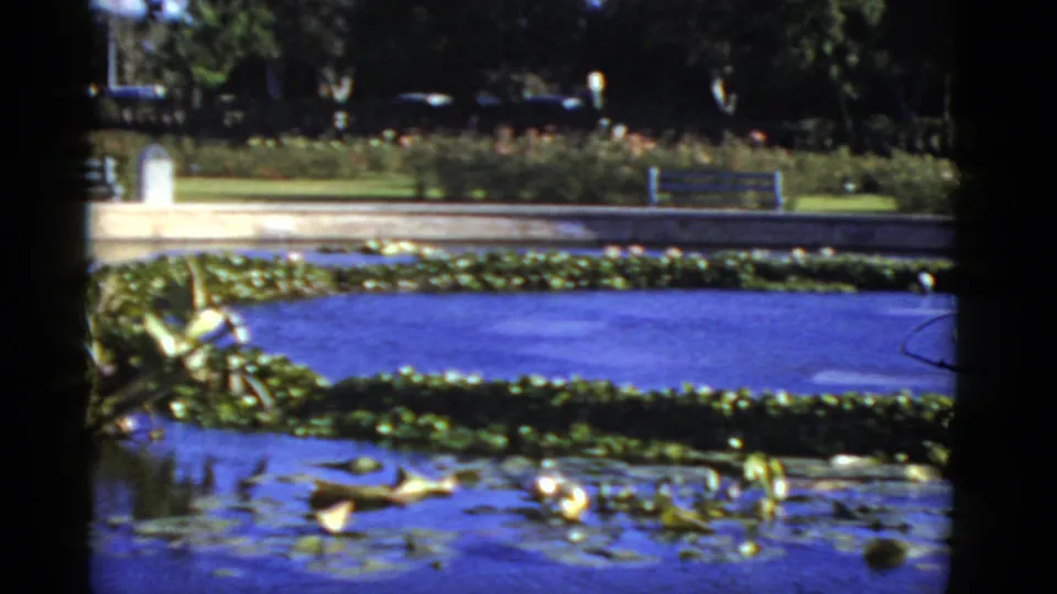 1952 California 8mm frame showing a close pond edge with lily pads, blue water, a garden bench, shrubs, and shaded trees beyond.
