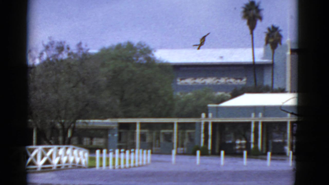 1952 California 8mm frame showing a low modern building behind white bollards, a fence, shrubs, and tall palm trees.