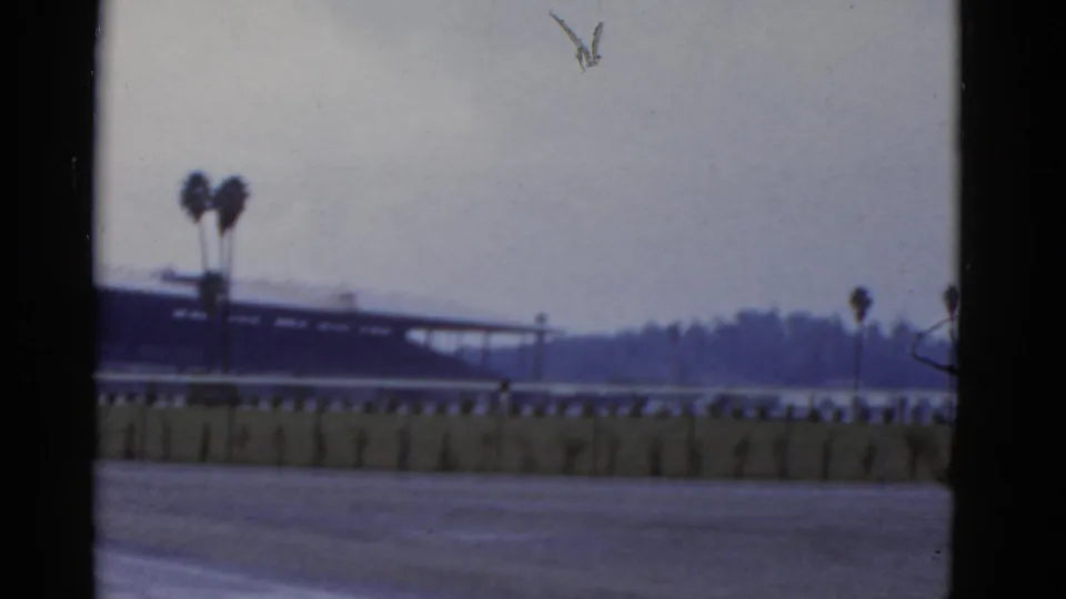 1952 California home-movie frame of a quiet racetrack area with a low fence, distant grandstand, palm trees, and hazy horizon.