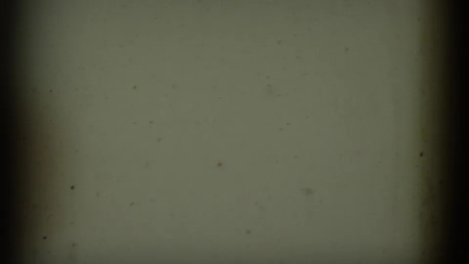 End frame from the 1952 8mm clip, mostly greenish and out of scene with dark edges, dust specks, and exposure falloff.