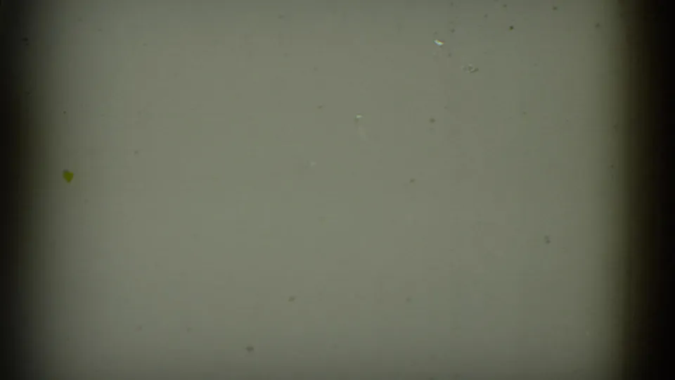 1952 8mm California home-movie frame showing a soft green-yellow abstract close-up with dark edge bands, grain, and dust specks.