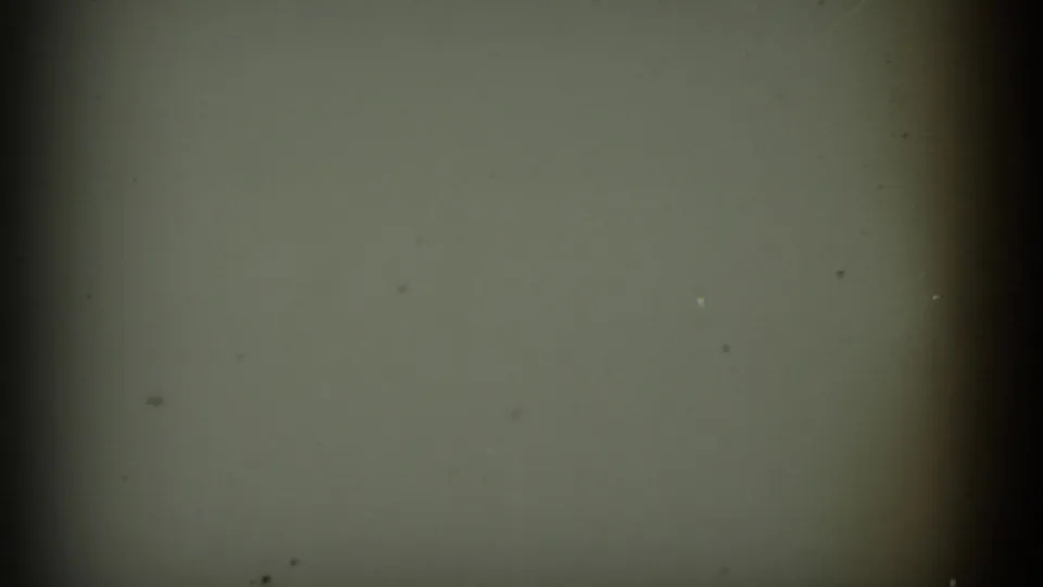 1952 8mm California frame with a muted green abstract field, central dark vertical band, soft exposure, and scattered film specks.