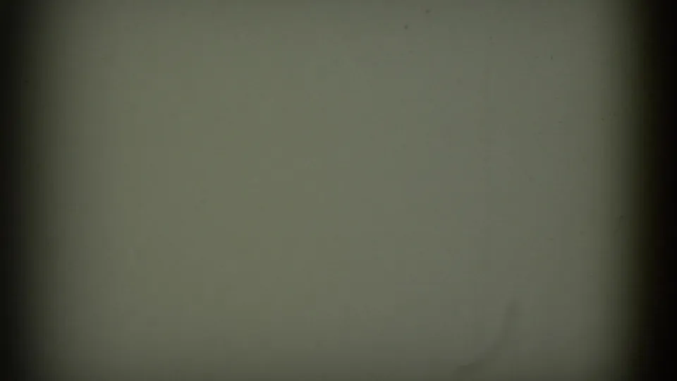 1952 8mm California home-movie frame showing a pale green close-up with dark vertical shadowing, grain, and faint discoloration.
