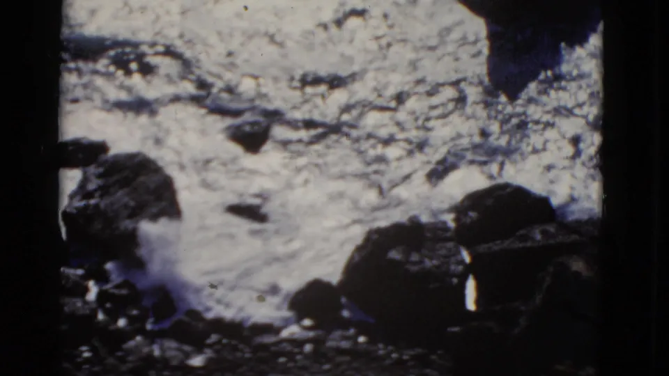 Elevated 1952 San Francisco coastal view of foamy surf moving around large dark boulders.