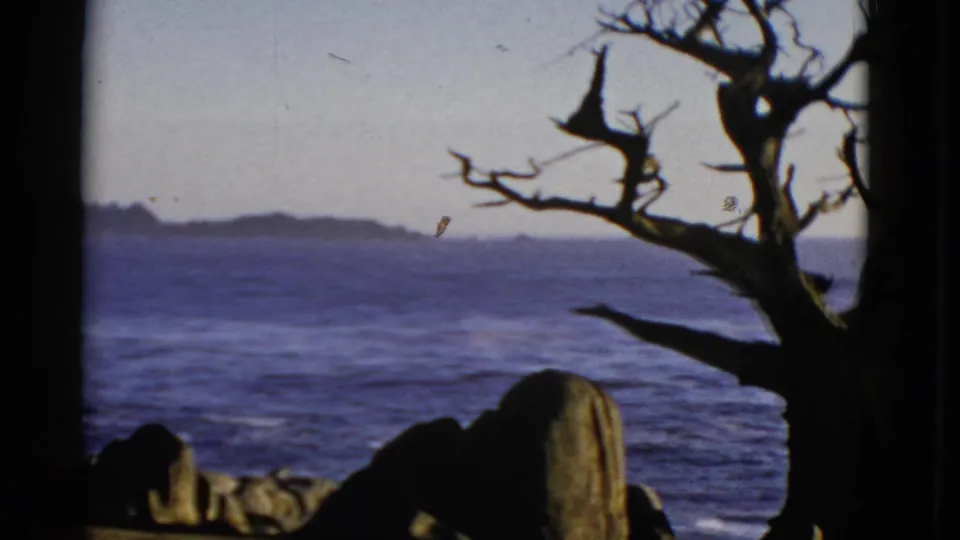 1952 San Francisco 8mm view of ocean and distant shoreline, partly blocked by a silhouetted tree and rounded foreground rocks.