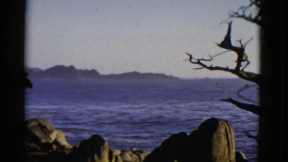 1952 San Francisco coastal frame showing blue ocean, low horizon landforms, dark rocks, and a leafless branch at the right edge.