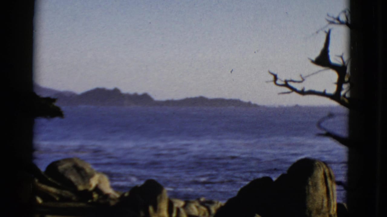1952 San Francisco coastal view with dark foreground trees and rocks framing blue water and distant hills.