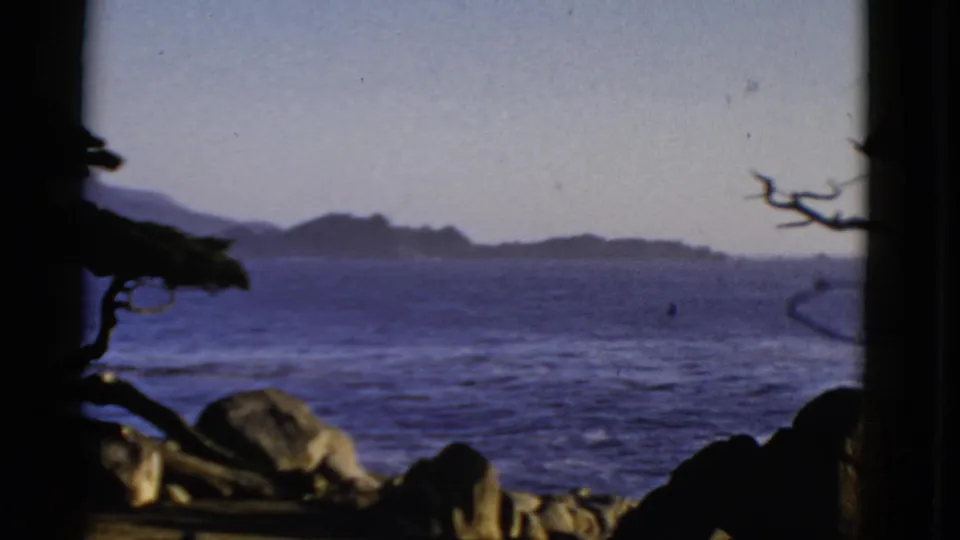1952 San Francisco shoreline scene with a dark tree silhouette, foreground rocks, blue ocean, and distant landforms.