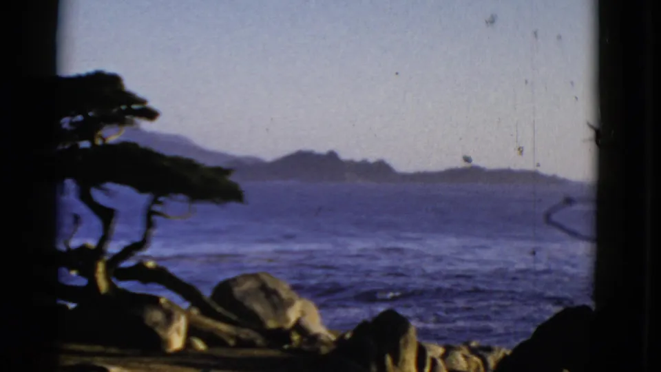 1952 San Francisco coastal home-movie frame with a gnarled tree beside rocks, ocean, and distant hills.