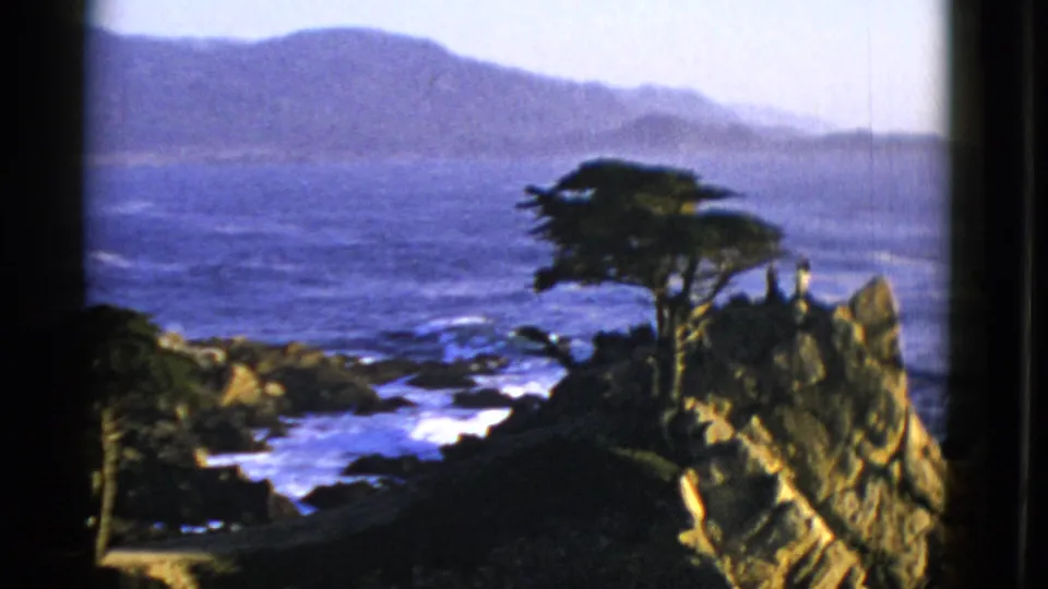 1952 San Francisco-area 8mm frame with a windswept tree on a rocky cliff above surf, open Pacific water, and soft hills in the distance.