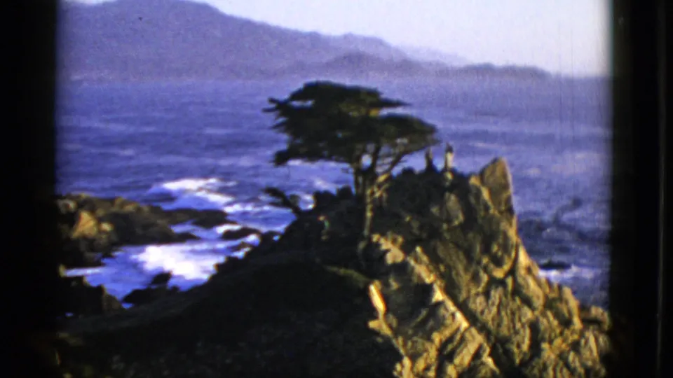 1952 San Francisco-area coastal view of a rocky promontory with a wind-shaped tree, white surf below, open water, and hazy hills beyond.