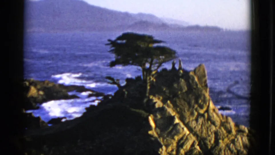 1952 8mm frame of a wind-shaped coastal tree and jagged rock above surf, with distant hills across the water.