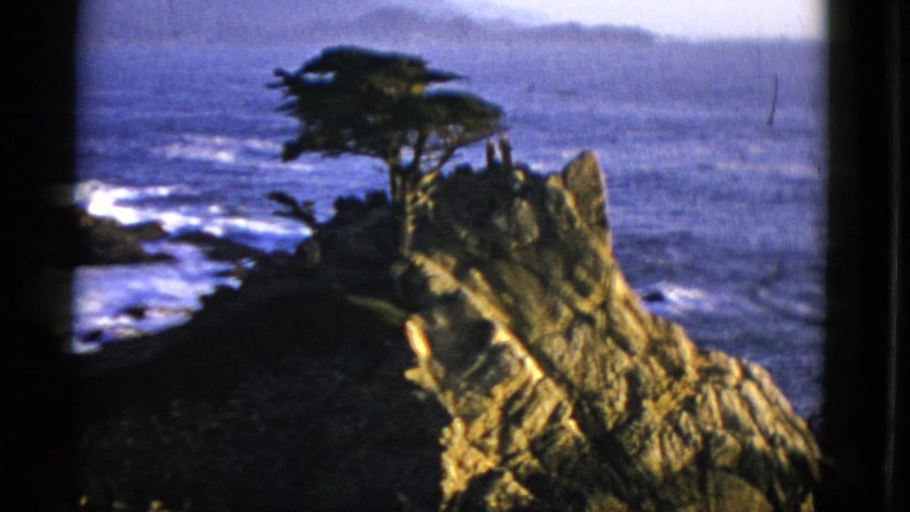 Rocky coastal point with a tree above surf and hazy hills in the distance.