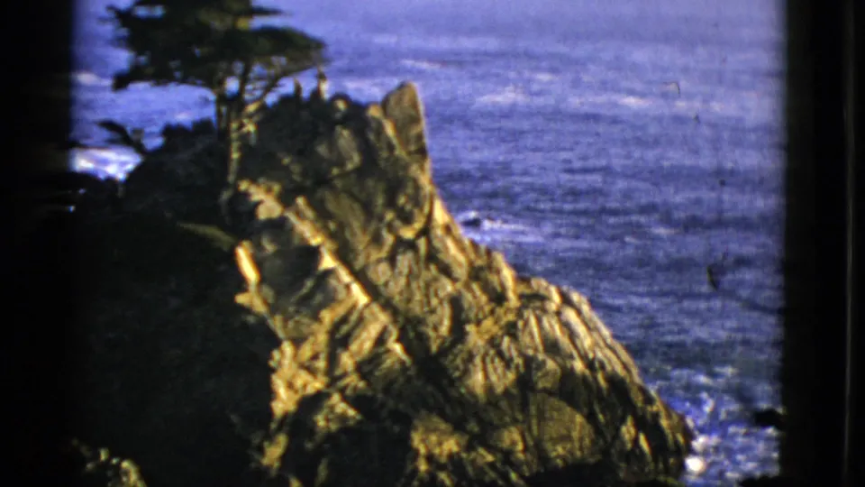 Close 1952 8mm frame of jagged coastal rock and a wind-shaped tree, with blue ocean filling the background.